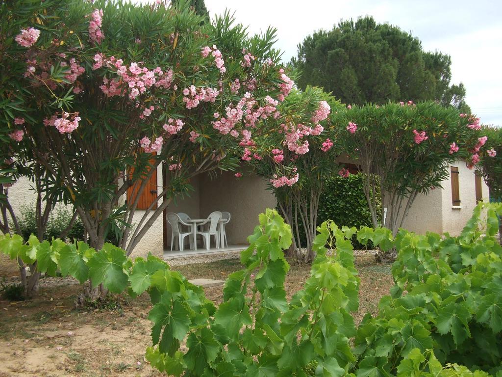 מלון Saint-Martin-dʼArdèche Espace Loisirs מראה חיצוני תמונה