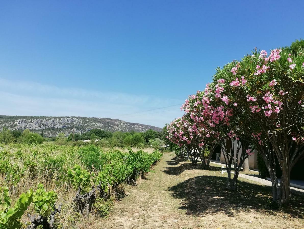 מלון Saint-Martin-dʼArdèche Espace Loisirs מראה חיצוני תמונה